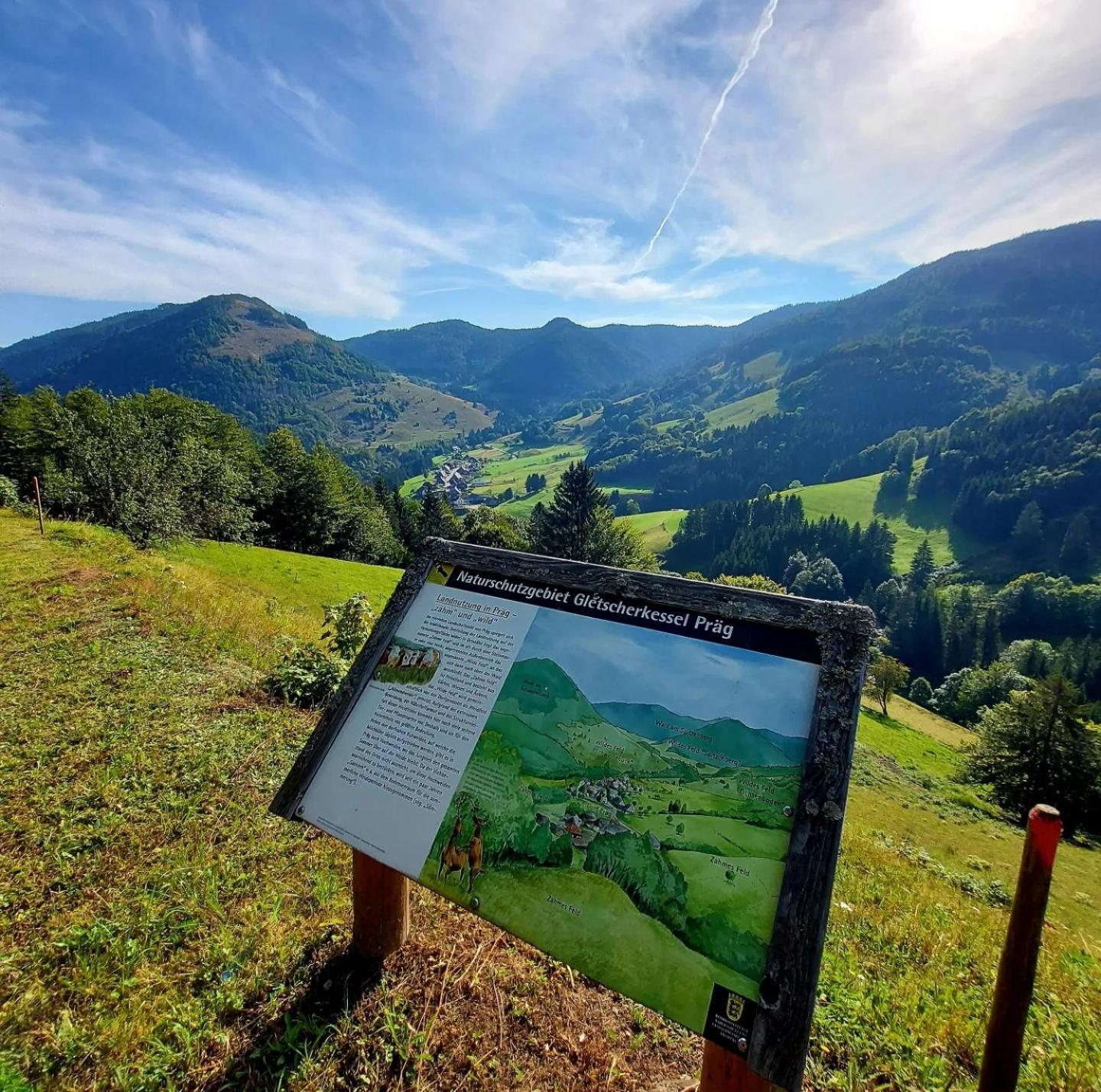 Ferienwohnungen Haus Hees Todtnau Dış mekan fotoğraf