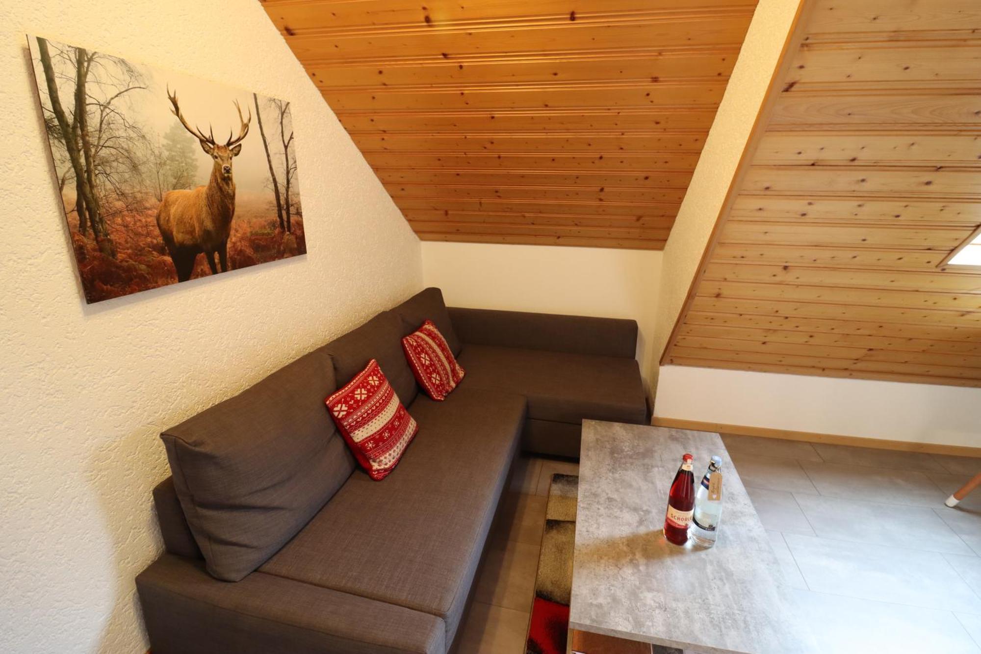 Ferienwohnungen Haus Hees Todtnau Oda fotoğraf