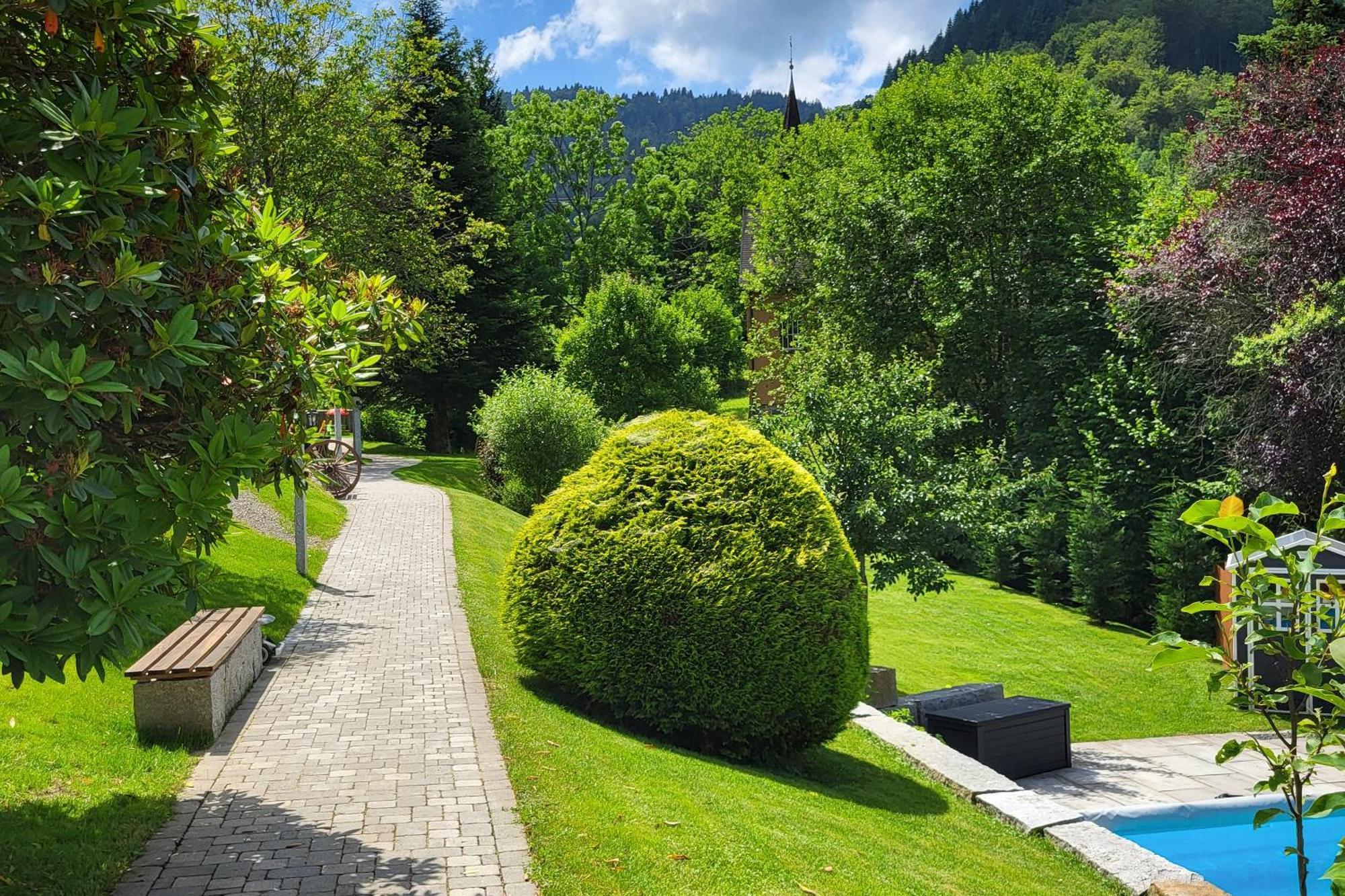 Ferienwohnungen Haus Hees Todtnau Dış mekan fotoğraf